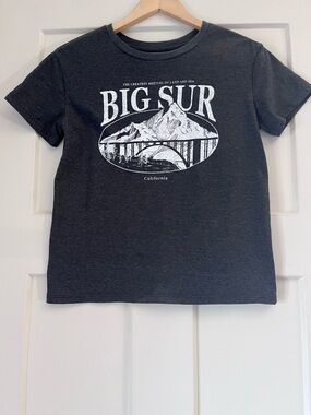 Fifth Sun Big Sur Graphic Tee - Charcoal & White
